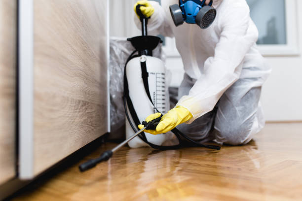 Best Pest Removal Services  in Wildwood, NJ