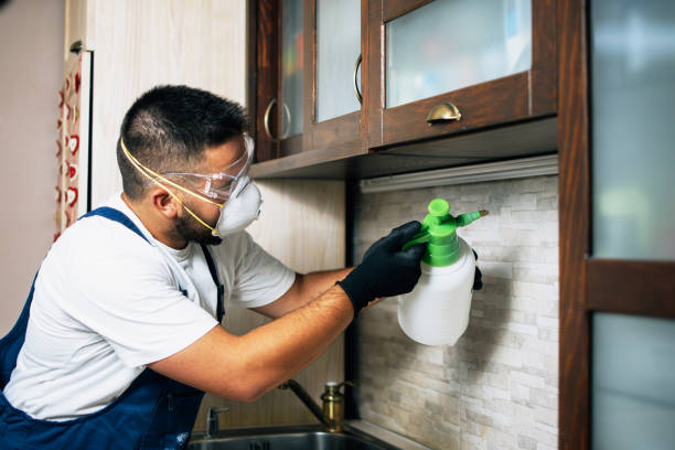 Best Mosquito Control Services  in Wildwood, NJ