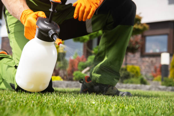 Best Exterminator Services  in Wildwood, NJ