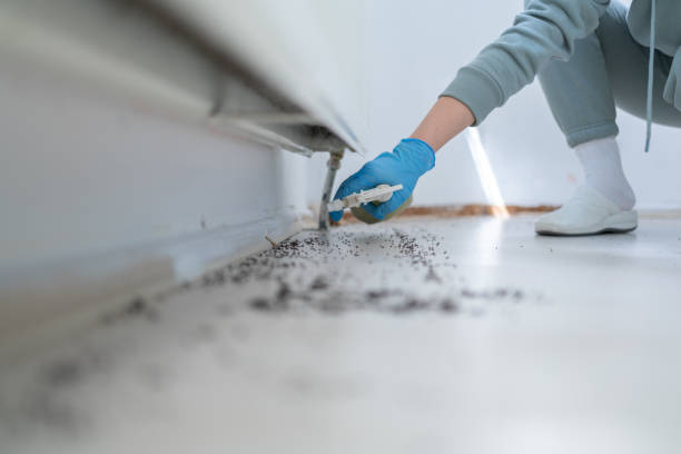 Professional Pest Control in Wildwood, NJ